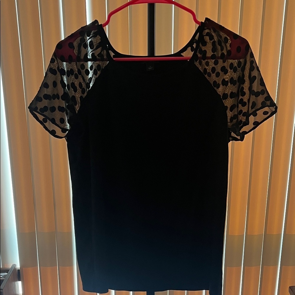 Ann Taylor Black Top with Sheer Polka Dot Sleeves Size M